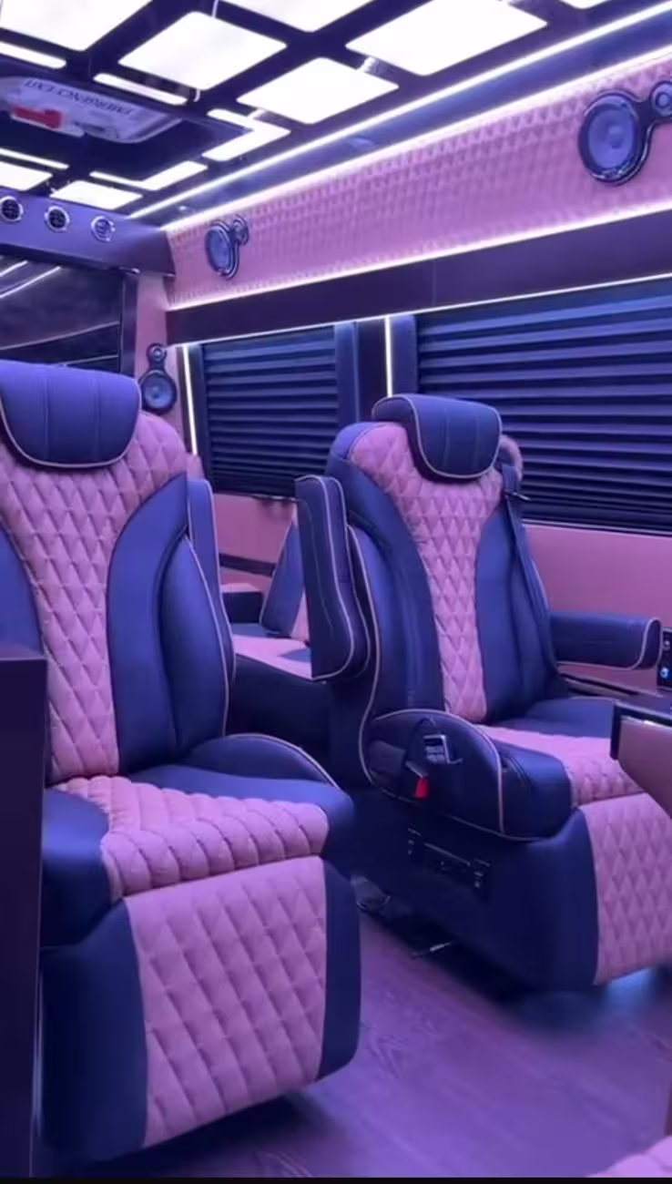 driver-helping-guest-with-bags